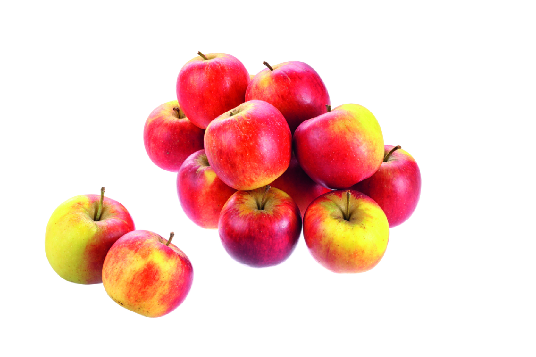 Äpfel Gala