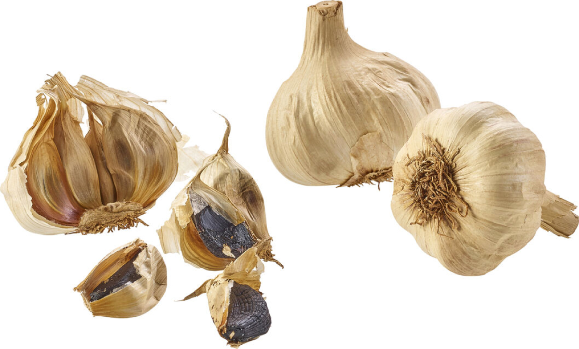 Knoblauch trocken