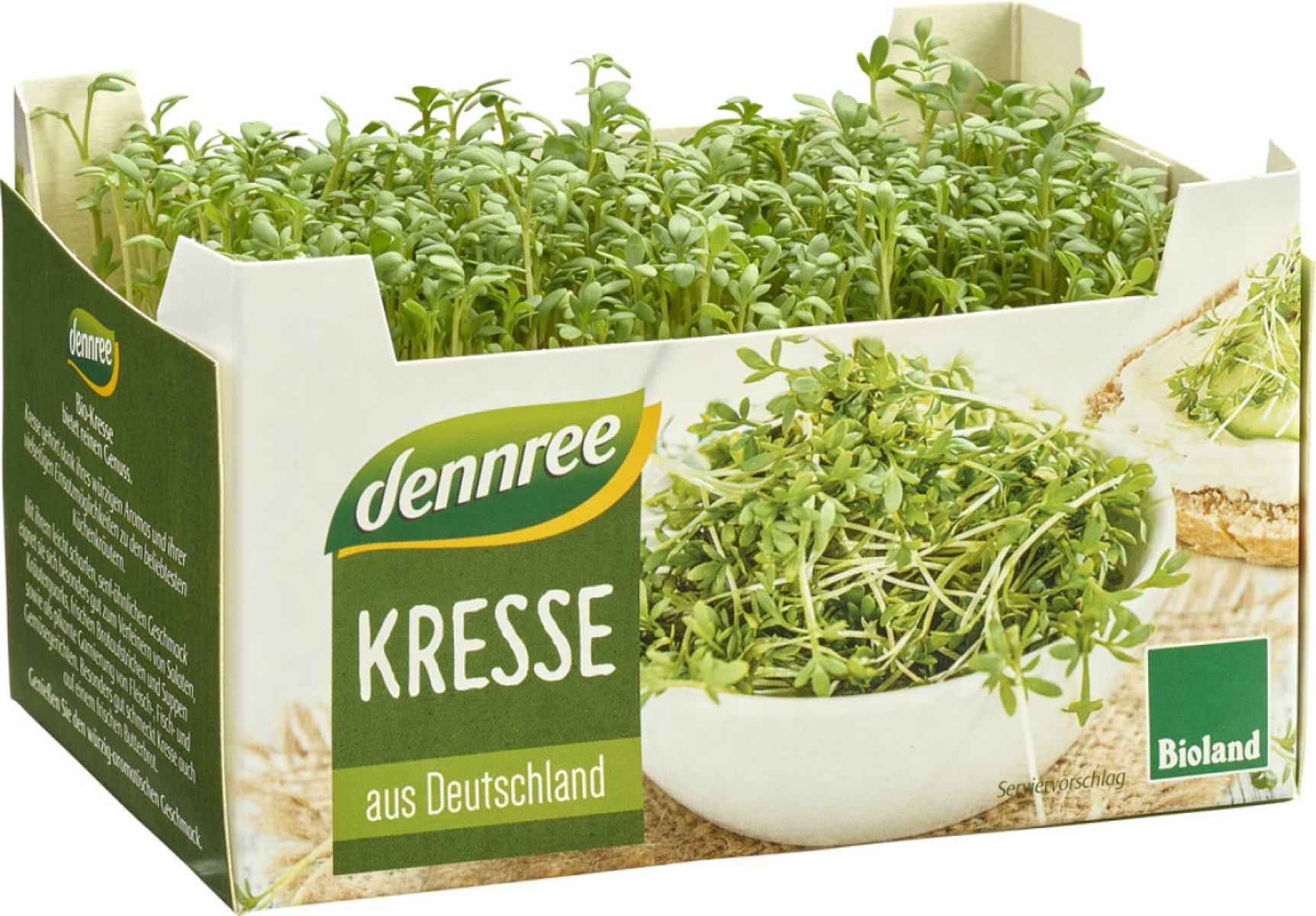 Kresse in der Schale