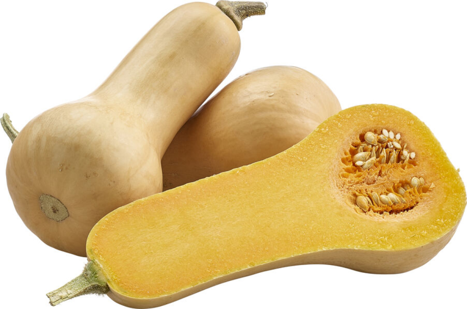 Kürbis Butternut
