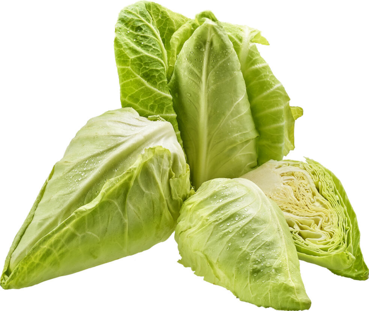 Spitzkraut