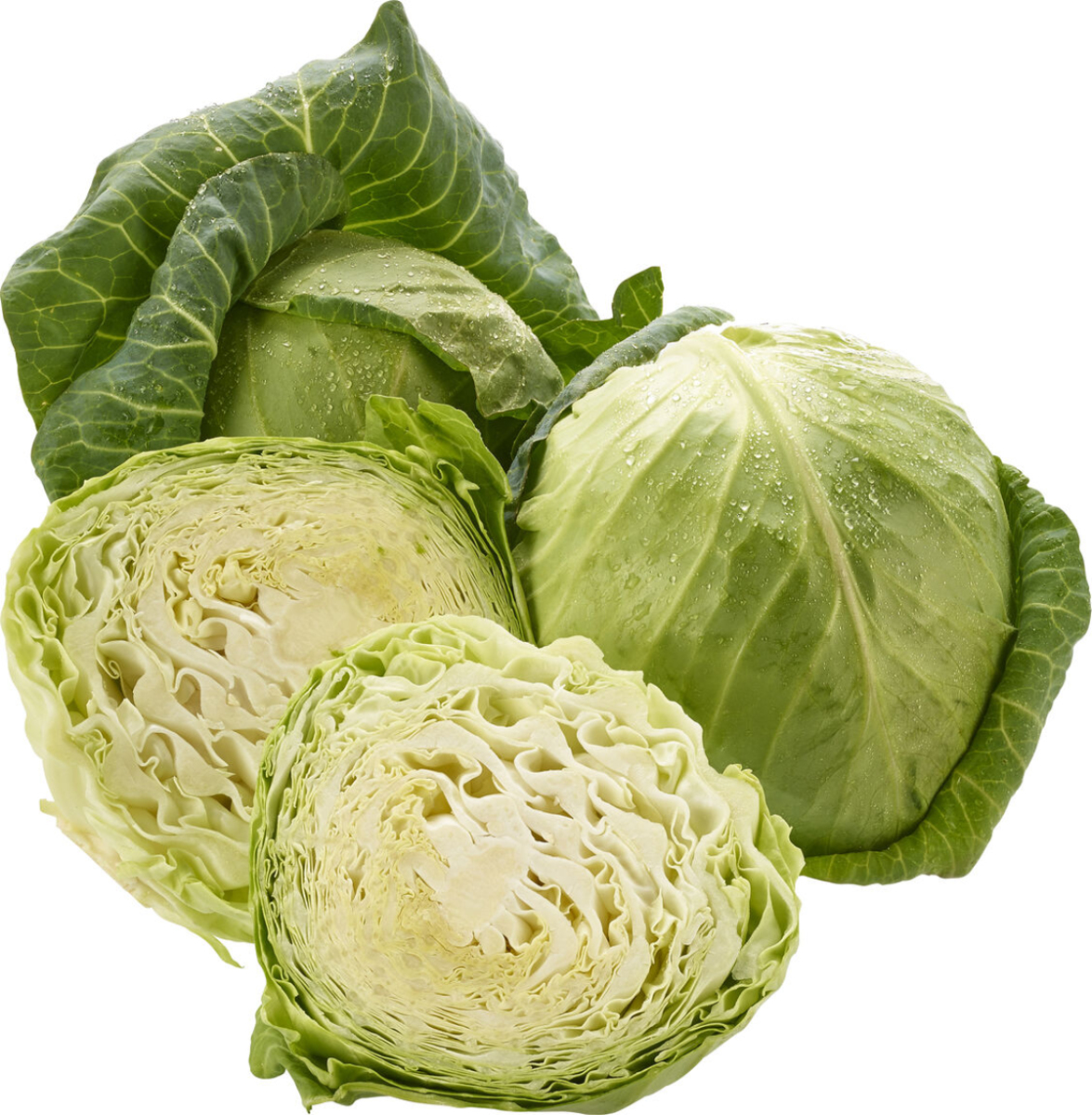Weißkraut, Neue Ernte