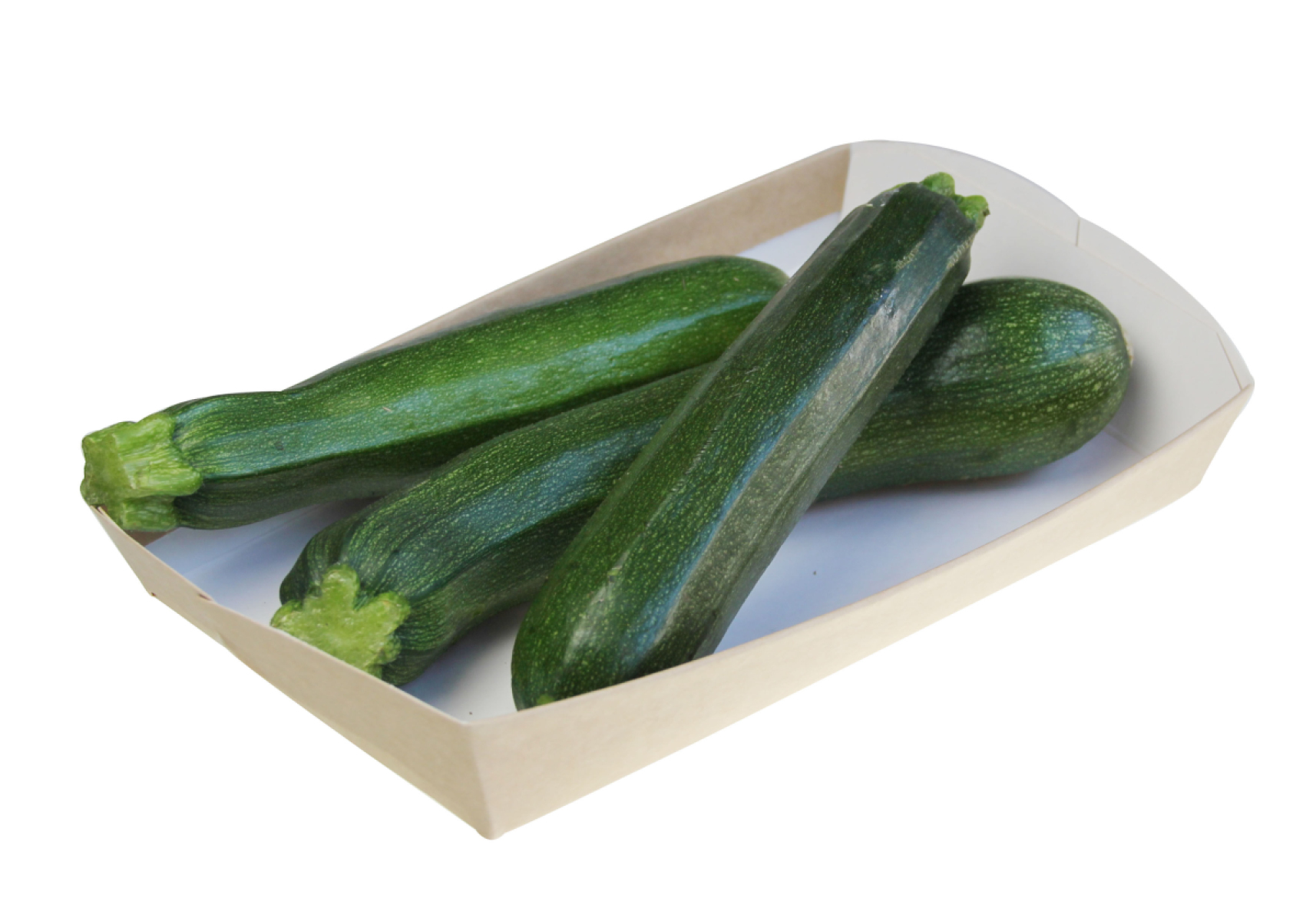 Zucchini
