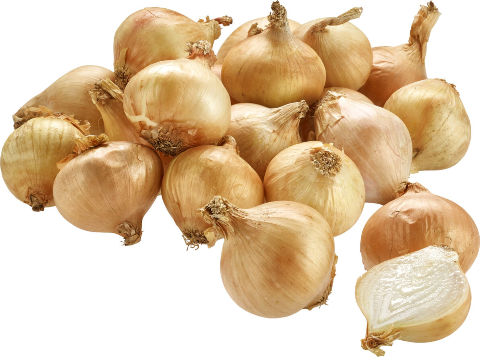 Zwiebel gelb