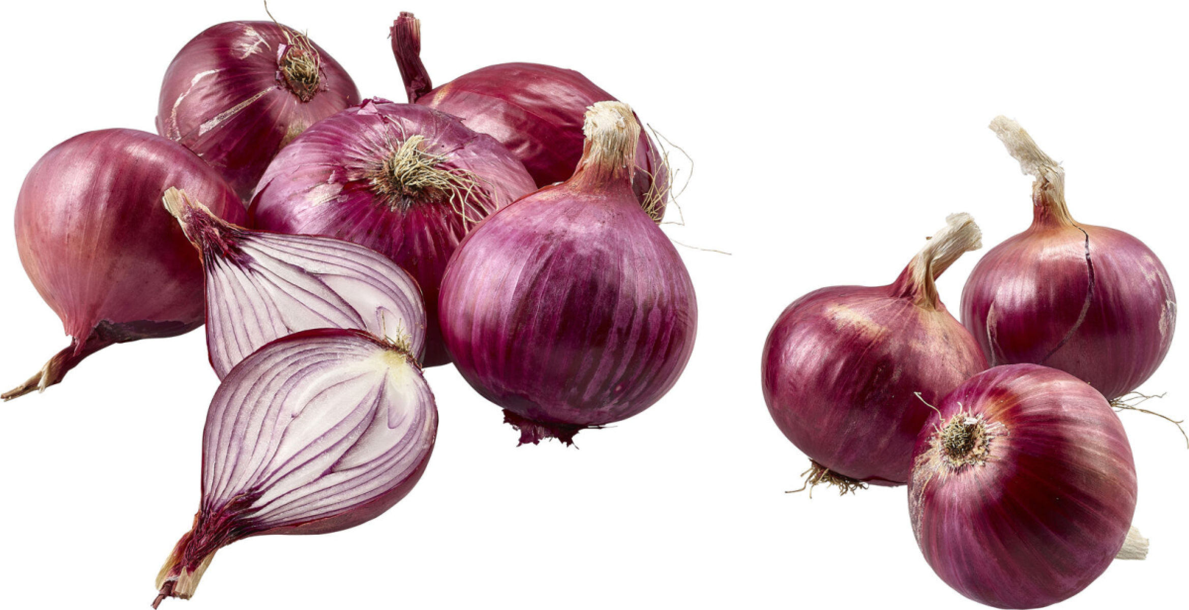 Zwiebel rot