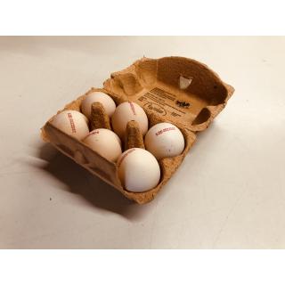 Eier aus ökologischer Erzeugung