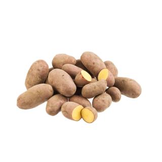 Kartoffeln Laura, Frühkartoffeln (rotschalig, vfk)