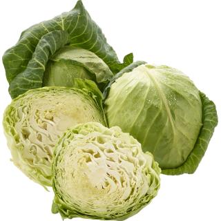 Weißkraut, Neue Ernte