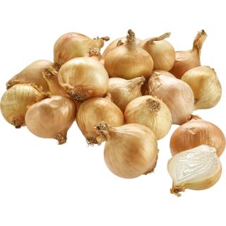 Zwiebel gelb