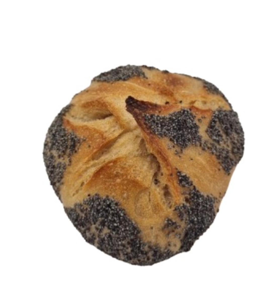 Dinkel Mohnbrötchen, Köhler