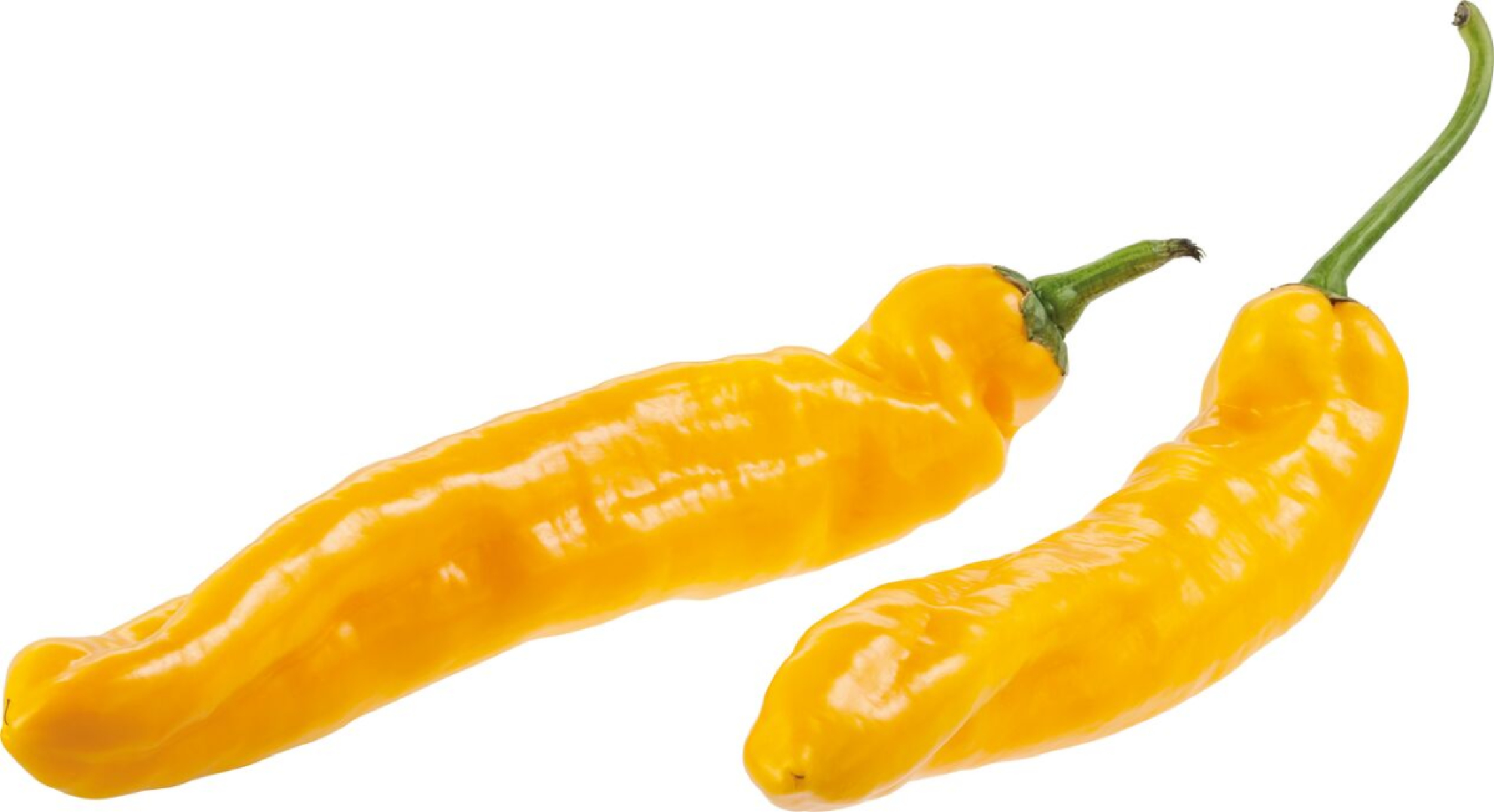 Paprika gelb