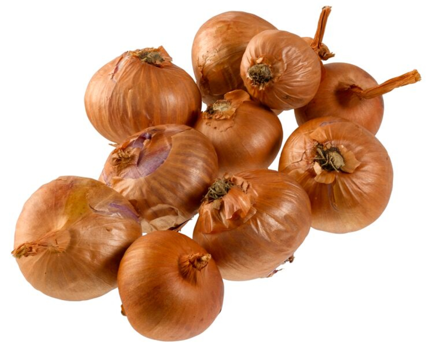 Schalotten