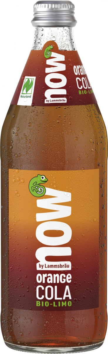 NOW Orange Cola, 10 x 0,5 ltr Fl