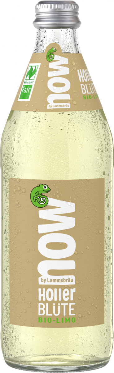 NOW Holler Blüte, 10 x 0,5 ltr