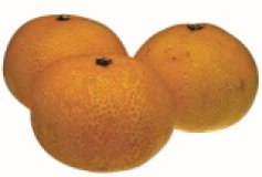 Satsuma